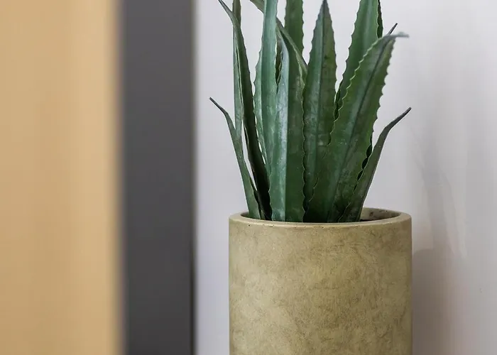 アパート Fanouris Luxury *