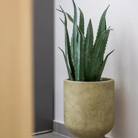 Apartman Fanouris Luxury *